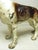 Cast Iron Hubley Boston Terrier Doorstop For Sale - Image 12 of 15