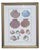 Nautical Vintage Coastal Seashell Clamshell Framed Prints- Set of 3 For Sale - Image 3 of 11
