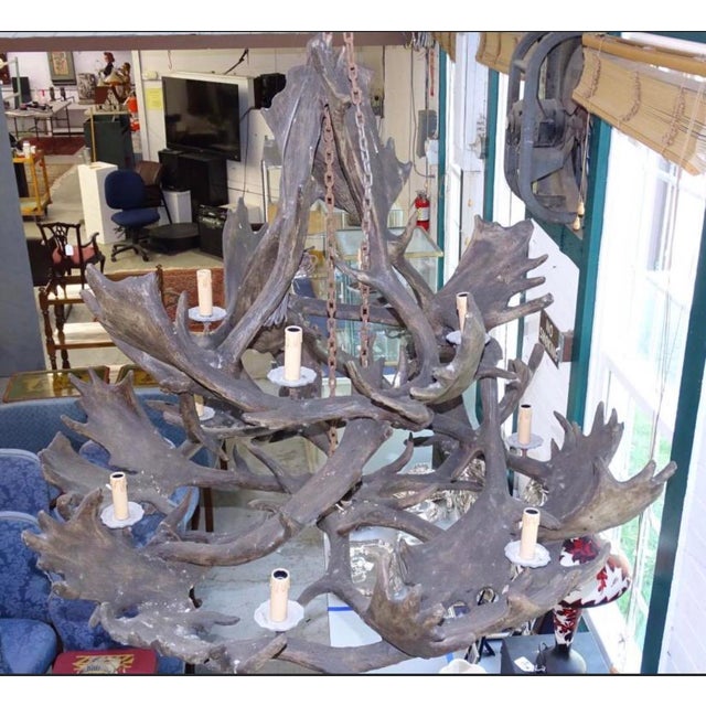 1990s Extremely Large Baronial Hunting Lodge Style Moose Antler Horn Chandelier For Sale - Image 11 of 11