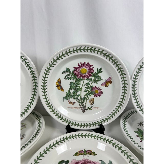 1972 Portmeirion Botanic Garden Dinner Plates- Set of 12 For Sale - Image 4 of 12