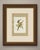 Curl-crested and chestnut-eared aracaris print after Descourtilz from the 1944 Ornitologia Brasileira: Estampa 14, a...
