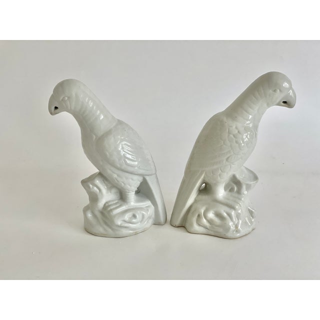 Ceramic Vintage Blanc De Chine Porcelain Parrots - A Pair For Sale - Image 7 of 7