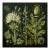 Dark Green Antique Botanical Garden Study No. 1 - Natural History Fine Art Print For Sale