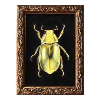Contemporary Oil Painting of a Beetle by Susannah Carson For Sale