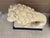 Monumental Neoclassical Cast Stone Garden Lions, a Pair For Sale - Image 9 of 15