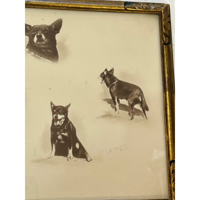 Antique Parisian Gilt Wood Framed Dog Portrait For Sale - Image 4 of 12