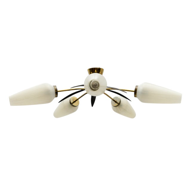 Mid-Century Modern 5-Armed Brass and Glass Sputnik Lamp, 1950s For Sale