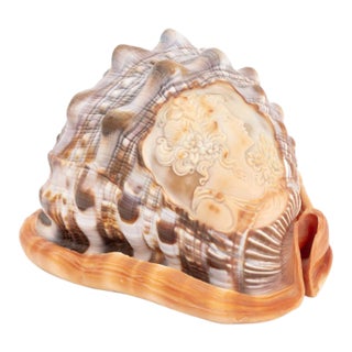 Italian Cameo Carved Conch Shell For Sale