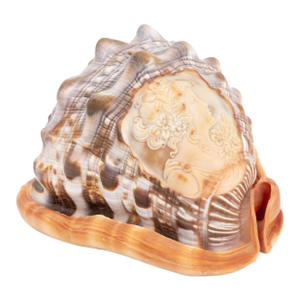Italian Cameo Carved Conch Shell