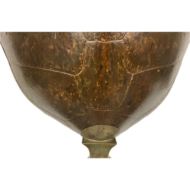 Monumental Natural Antique Turtle Carapace Shell Lamp For Sale - Image 11 of 15