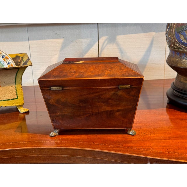 Wood 19th Century Sarcophagus Form Tea Caddy With Brass Paw Feet For Sale - Image 7 of 7