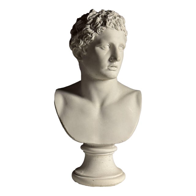 Bust of Meleager, Late 20th century, Stone For Sale