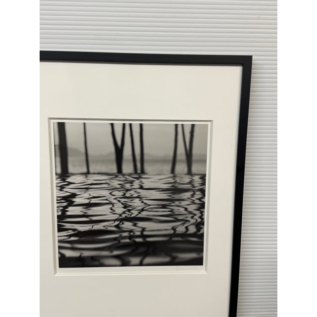 2010s Michal Venera Twigs and Water Black & White Photograph, Framed For Sale - Image 5 of 12