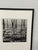 2010s Michal Venera Twigs and Water Black & White Photograph, Framed For Sale - Image 5 of 12