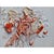 # 'Flower' #3 - High-End Framed Cy Twombly Style Minimalist Botanic Oil on Canvas For Sale - Image 4 of 10