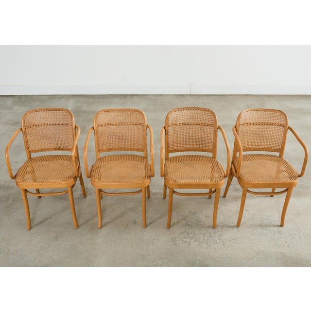 Mid-Century Modern Set of Four Thonet Prague Bentwood Armchairs by Josef Hoffman For Sale - Image 3 of 18