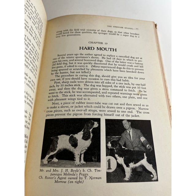 1951 the Springer Spaniel by Maxwell Riddle Book | Chairish