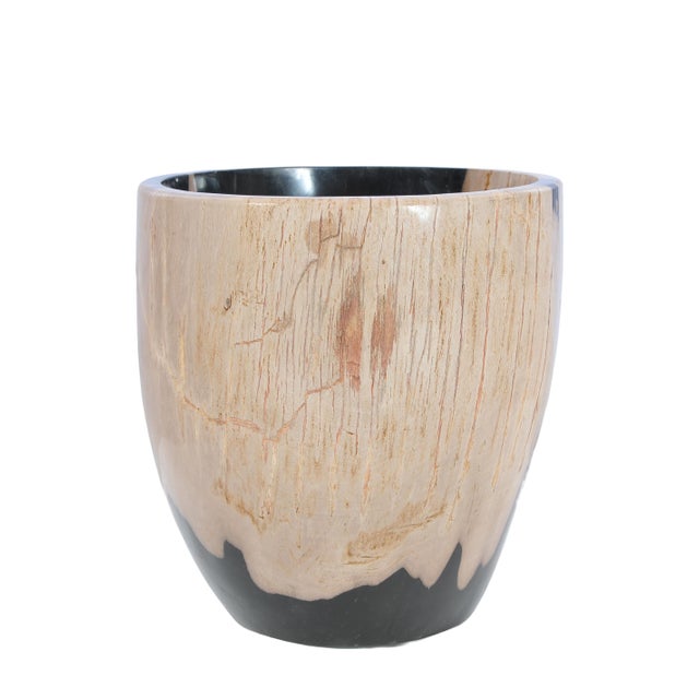 Early 21st Century Petrified Wood Plant Pot by Xyleia Petrified Wood For Sale - Image 5 of 7