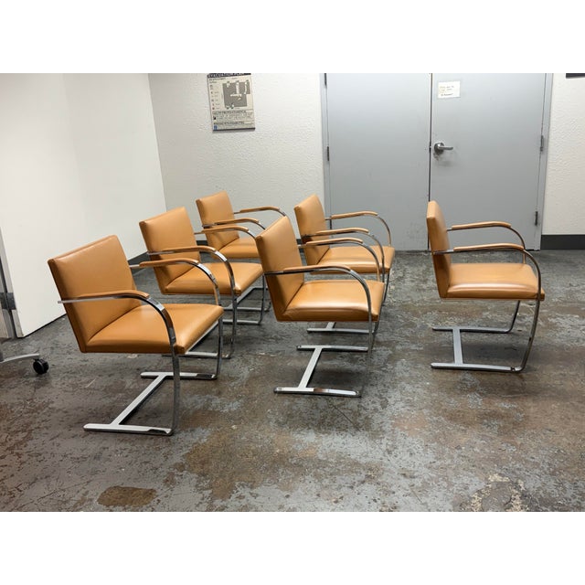 Knoll Ludwig Mies Van Der Rohe for Knoll Brno Armchairs, Set of Six For Sale - Image 4 of 12