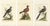 After George Edwards, Exotic Pigeons, Hand-Colored Engravings, 1770s, Set of 3 For Sale