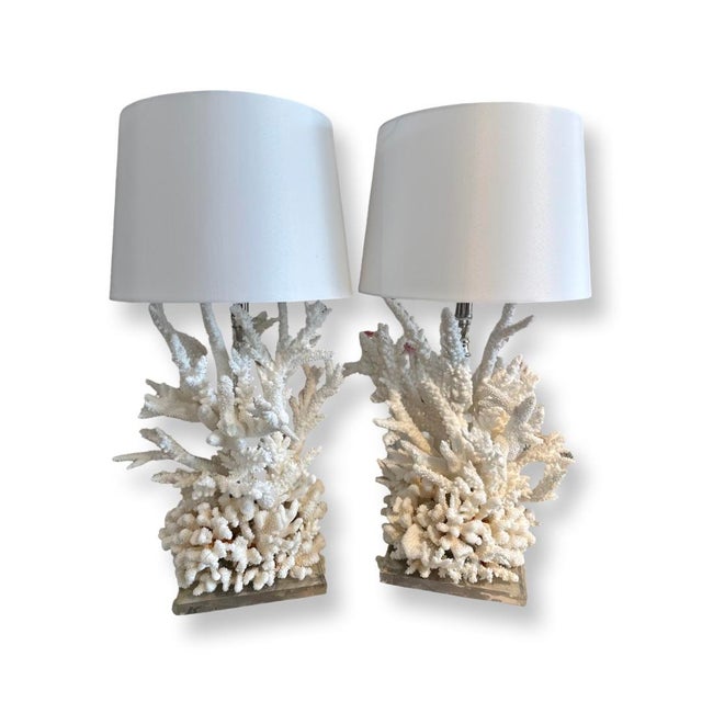 Coastal Vintage Wonderful Coral Lamps - A Pair For Sale - Image 3 of 6