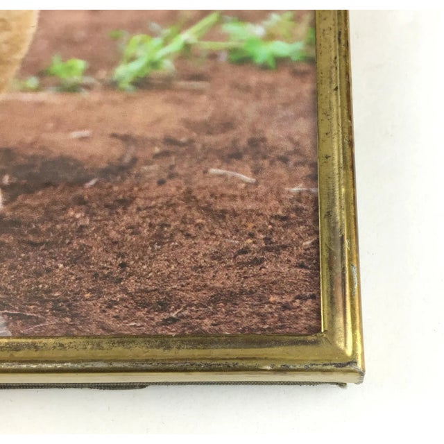 Metal 1900’s Metal Photo Frame For Sale - Image 7 of 12