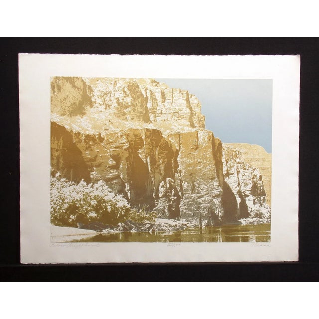 Realism Paula Crane "Below Bright Angel" Signed & Numbered Art Etching of Canyons For Sale - Image 3 of 6