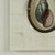 Paper Pair of Petite Bone Framed Seashell Prints For Sale - Image 7 of 16