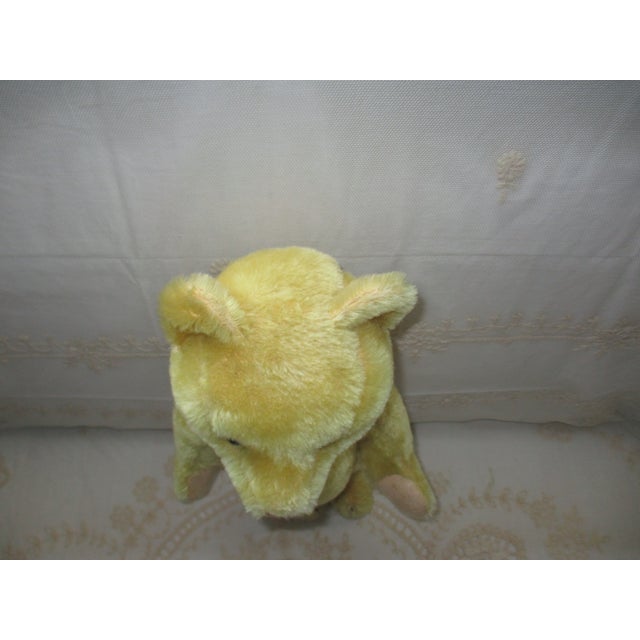 Vintage German Herman Golden Mohair & Straw With Glass Eyes Teddy Bear For Sale In Columbia, SC - Image 6 of 10