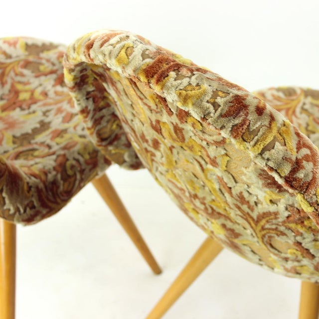 1960s Mid-Century Shell Chair attributed to Miroslav Navratil, Former Czechoslovakia, 1960s For Sale - Image 5 of 14