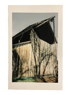 Gleb Derujinsky "Tree Shadow Barn" Contemporary Landscape Photograph Print
