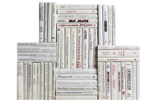 Decorative Books - Snowfall Book Wall - Set of 50 White Books