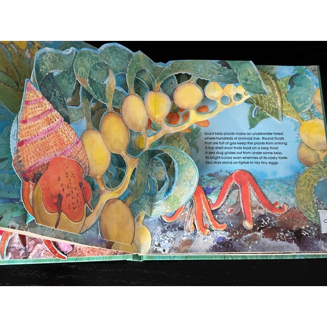 1990s Sea Animal Pop Up Book For Sale - Image 5 of 8