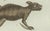 Bertuch, Exotic Lizards and Flying Dragon, 1800, Engraving For Sale - Image 3 of 9