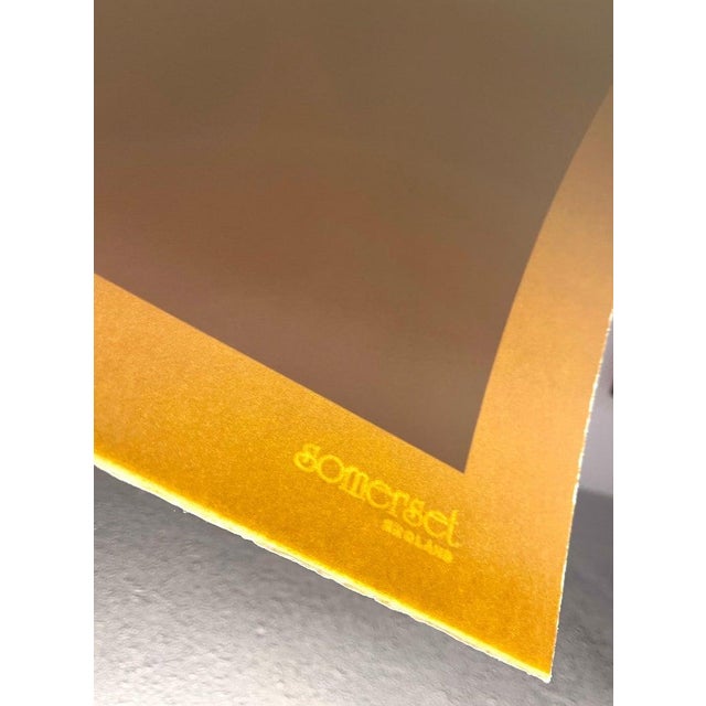 Todd Gray Color Iris Photo Print Conceptual Cartoon Toy Doll Figurine Photograph Todd Gray For Sale In Miami - Image 6 of 6