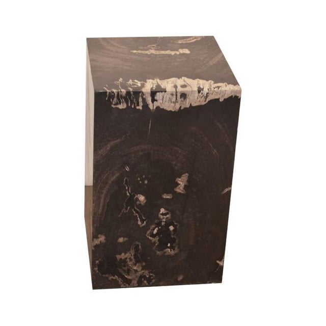 Andrianna Shamaris Minimalist Petrified Wood Side Table For Sale - Image 9 of 18