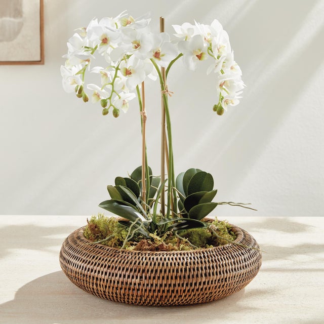Early 21st Century Burma Rattan Shallow Display Bowls, Set Of 2 For Sale - Image 5 of 9