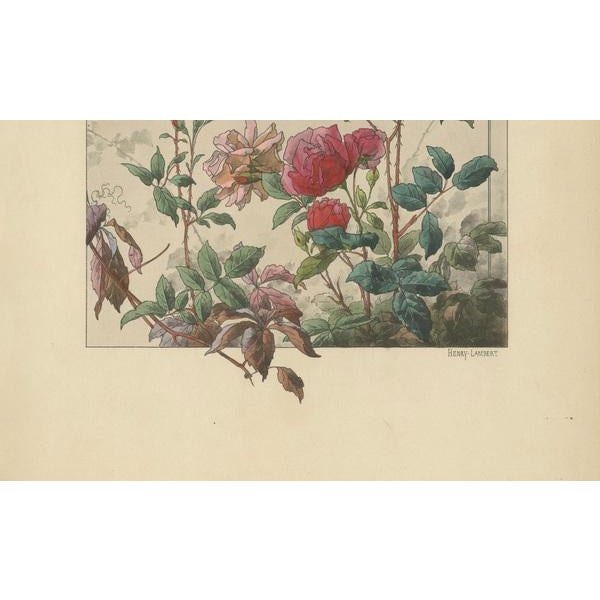 Lambert, Bengal Roses and Virginia Creeper in Art Nouveau Design, 1896, Print For Sale - Image 3 of 10