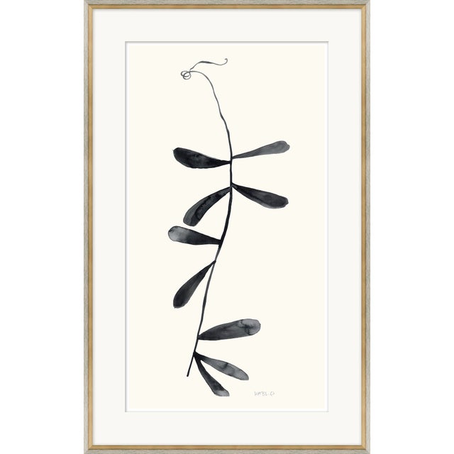 Hable Shoot I, II and III by Susan Hable For Sale - Image 4 of 5