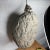 Textile Large Bald-Faced Hornet’s Nest Natural Oddity For Sale - Image 7 of 7