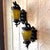 Rare matching set of three antique exterior lanterns, circa 1930–1940, including two wall sconces and one pendant ceiling...