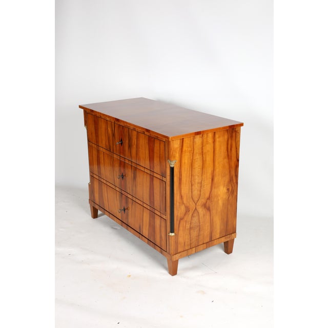 Antique Biedermeier Chest of Drawers in Applewood, 1820 For Sale - Image 3 of 13