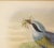 Circa 1893-1895 English Framed Lithograph of the Eucichla Ellioti by William Matthew Hart For Sale - Image 4 of 8