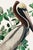A striking coastal natural history study, this vintage art print reproduction features a Brown Pelican perched among lush...
