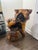Rustic Early 20th Century Large Sculptural Natural Root Wood Pedestal / Accent Table, 34” For Sale - Image 3 of 6
