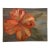 Vintage Oil on Canvas Bold Floral Painting , Framed For Sale