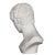 Grand Tour 19th Century Marble Bust of Antinous as Hermes by Filli Pugi For Sale - Image 6 of 12