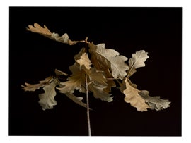 Example of Photography