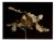 Guy Sargent, Oak Leaves, Archival Pigment Print For Sale