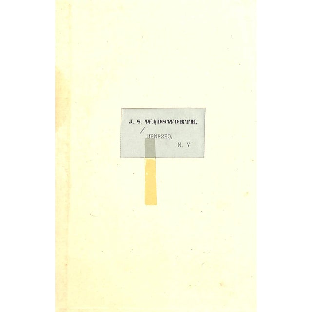 Traditional "A Loose Rein 1887 "Wanderer" 1887 "Wanderer" For Sale - Image 3 of 9